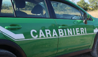 Divignano - Giardino trasformato in discarica di auto abbandonate: denunciato un uomo