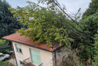 Castelletto Ticino - Albero cade su abitazione: intervento dei vigili del fuoco