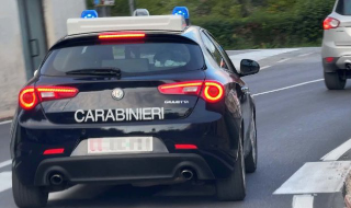 Novara - Tentano il furto in villetta, ma il cane li mette in fuga: uno dei ladri morso